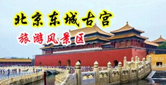 擦逼肏鸡八精品中国北京-东城古宫旅游风景区